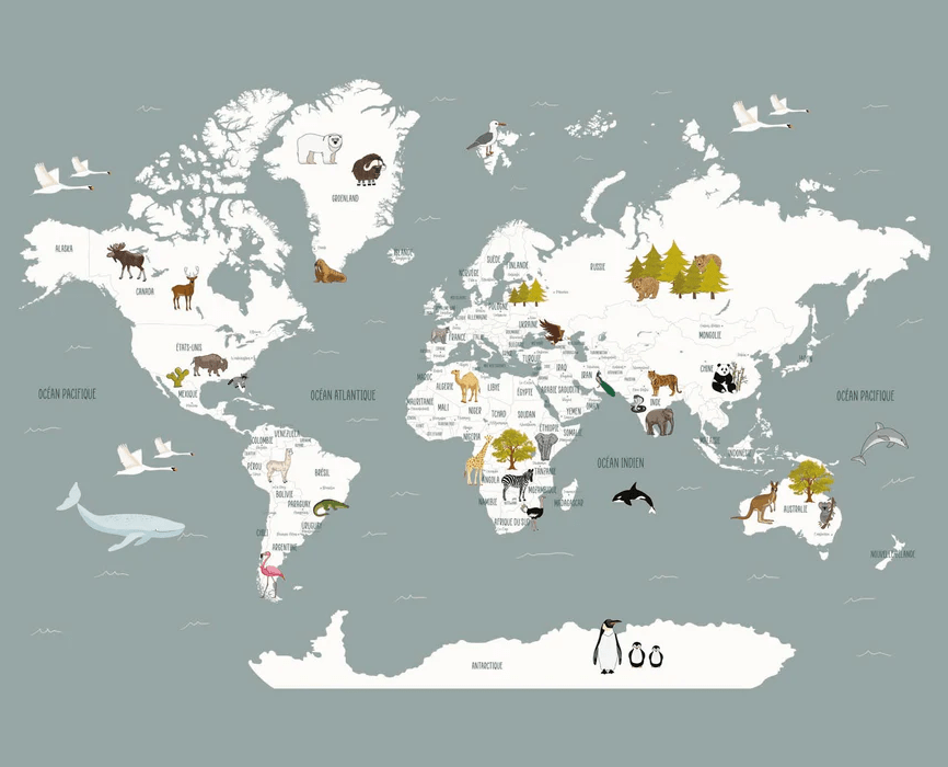Papier Peint Carte du Monde en Français Enfant Gris - H260cm x L322cm - Matière Pré- Encollé, XXL, tendance