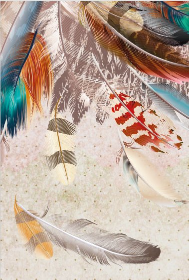 Tapete „Indische Federn“ L 102 cm x H 154 cm