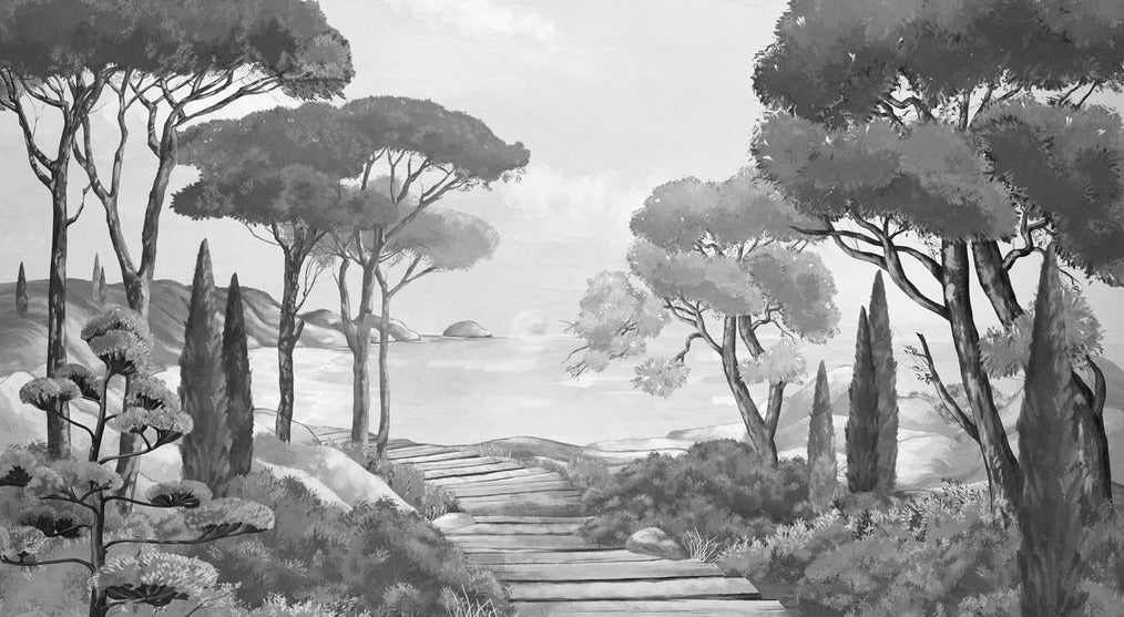 Papier peint balade dans les calanques noir et blanc