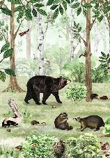 Babytapete Sanfter Wald