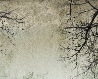 Carta da parati Foresta incantata