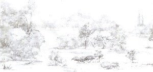 Tapete Kiefernwald Aquarell