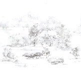 Carta da parati acquerello pineta