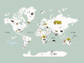 Carta da parati Mappa del mondo in francese per bambini verde