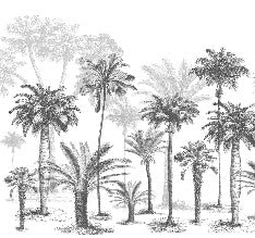 Papier peint Jungle Black & White, XXL, tendance