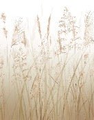 Carta da parati con fiori di campo e grano