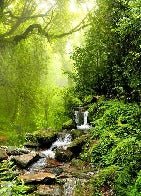 Papier peint Cascade & Forêt