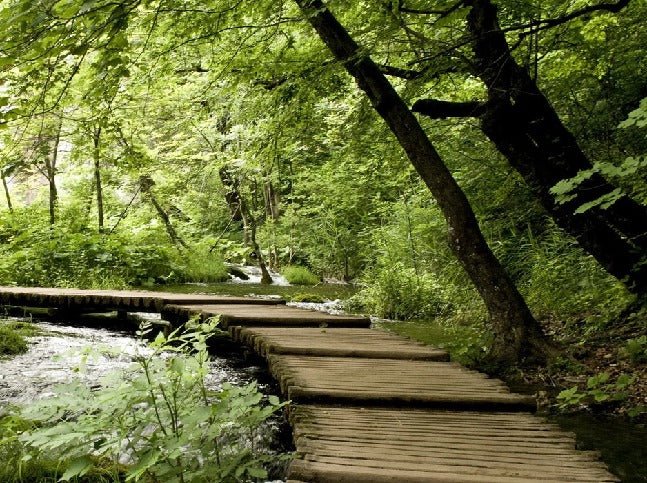 Papier peint bistrot trompe l'œil chemin forestier, XXL, tendance