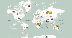 Papier peint Carte du monde en Francais enfant vert