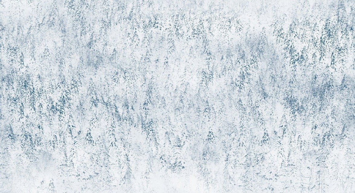 Carta da parati foresta nebbiosa Alpine design