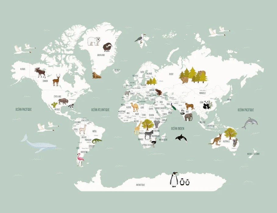 Papier peint Carte du monde en Francais enfant vert