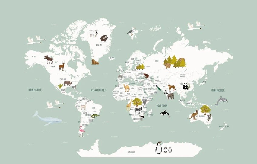 Papier peint Carte du monde en Francais enfant vert