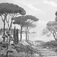 Papier peint balade dans les calanques noir et blanc