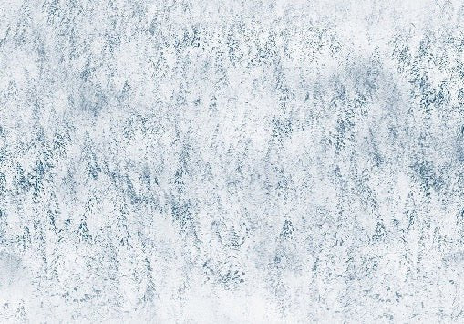 Carta da parati con design alpino Foresta nebbiosa