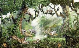 Carta da parati per bambini giungla segreta