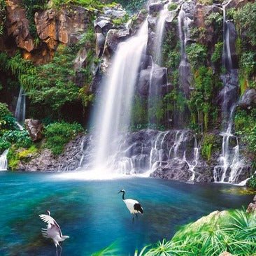 Papier peint cascade de la Réunion