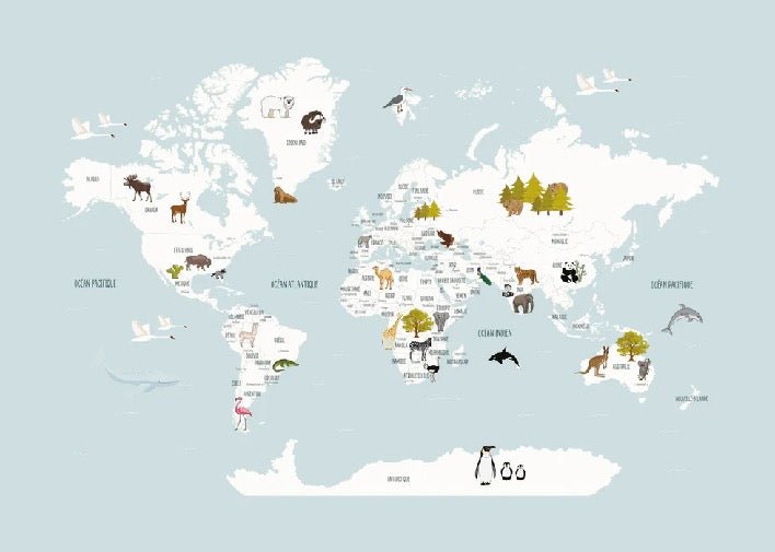 Papier peint Carte du monde en Francais enfant bleu glacier