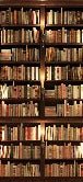 Papier peint trompe l'oeil Authentique Bibliothèque, XXL, tendance
