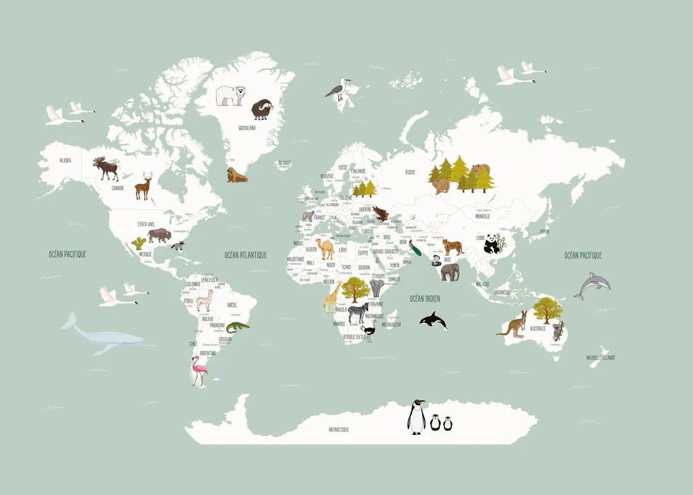 Papier peint Carte du monde en Francais enfant vert, XXL, tendance