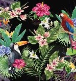Carta da parati tropicale e tucano
