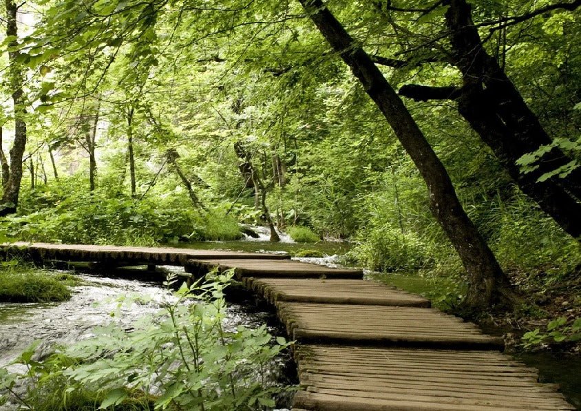 Papier peint bistrot trompe l'œil chemin forestier