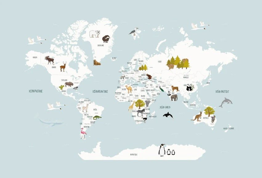 Papier peint Carte du monde en Francais enfant bleu glacier
