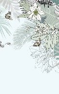 Papier peint wc tendance nature plante vert d'eau