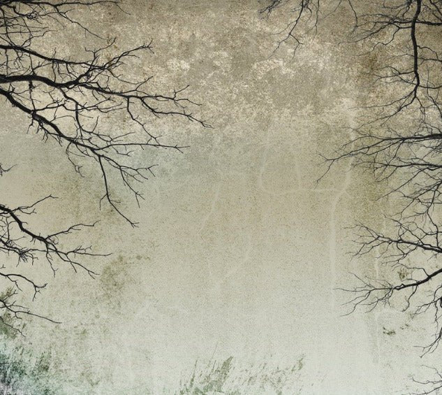 Carta da parati Foresta incantata