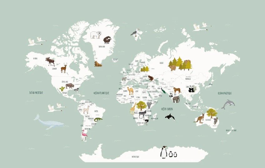 Carta da parati con mappamondo francese per bambini, verde