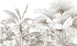 Papier peint tropical gravure monochrome
