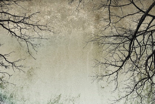 Carta da parati Foresta incantata