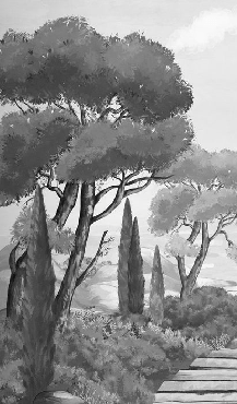 Carta da parati passeggiata nelle calanques in bianco e nero