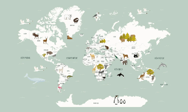 Papier peint Carte du monde en Francais enfant vert