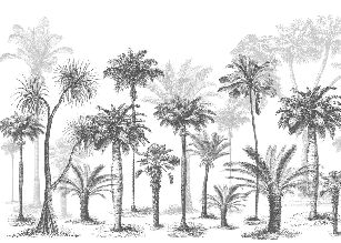 Papier peint Jungle Black & White