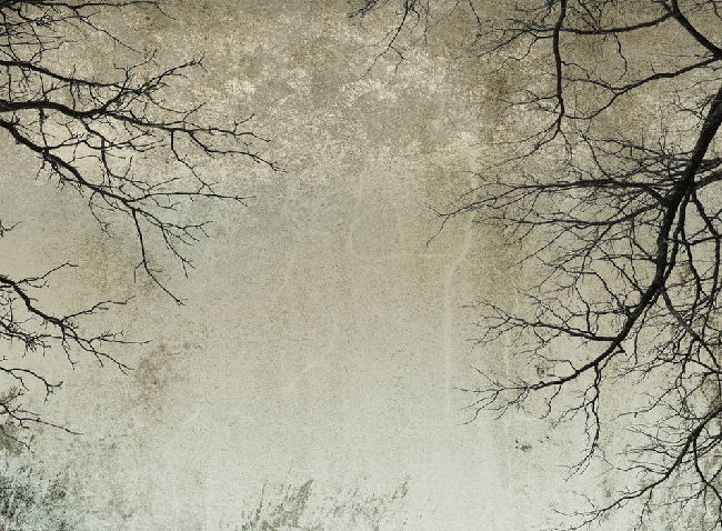 Tapete „Verzauberter Wald“