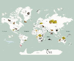 Carta da parati Mappa del mondo in francese per bambini verde