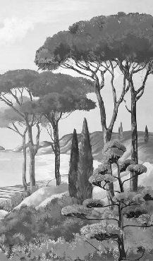 Papier peint balade dans les calanques noir et blanc