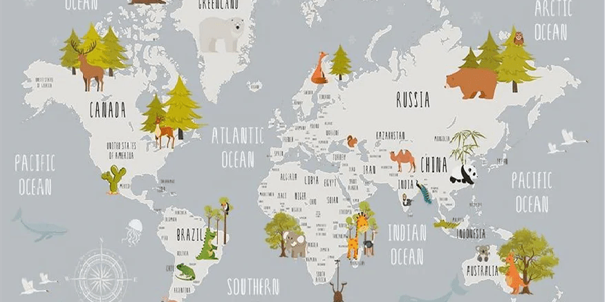 Papier peint chambre enfant map animaux gris clair