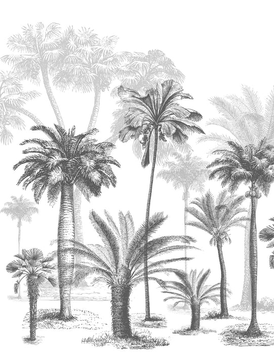 Papier peint Jungle Black & White