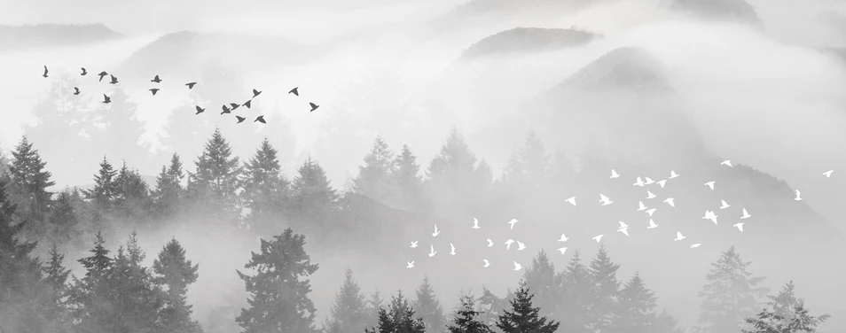 Papier peint brume mystique mountain