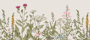 Carta da parati romantica con motivi floreali botanici