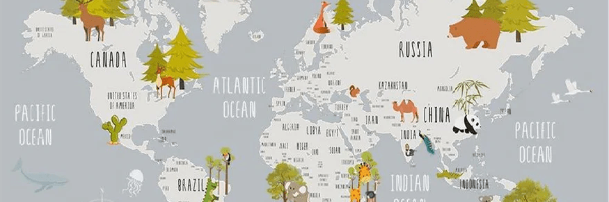 Papier peint chambre enfant map animaux gris clair