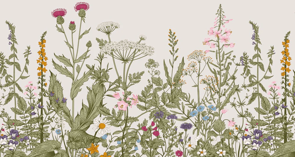 Papier peint bistrot botanique folk romantique