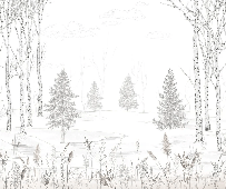 Schwarz-weiße Waldtapete – Douceur des Bois