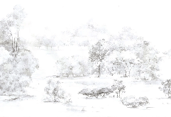 Carta da parati foresta di pini acquerello