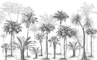 Papier peint Jungle Black & White