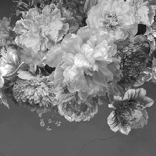 Carta da parati con fiori di peonia in bianco e nero