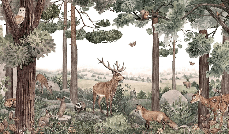 Carta da parati per bambini sentiero selvaggio