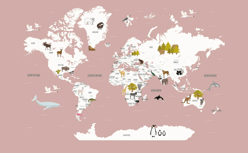 Papier peint Carte du monde en Francais enfant vieux rose - Muralconcept