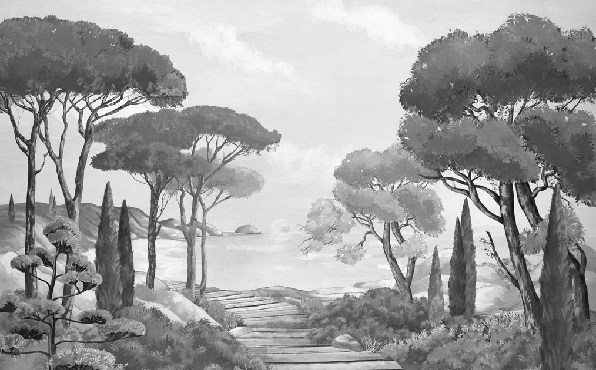 Carta da parati passeggiata nelle calanques in bianco e nero